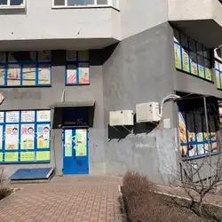 Бонобо - Київ,  Бориса Гмирі