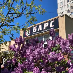 Професійний бійцівський клуб Барс - Кривий Ріг