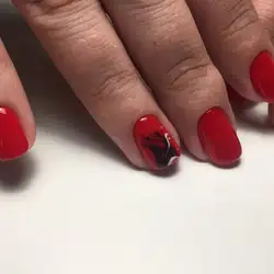 StrekoZa Beauty Bar — Київ