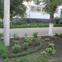 Дошкільний навчальний заклад (ясла-садок) №264