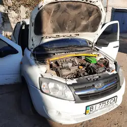 Нічні Птахи