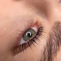 Lash&Brows, студія корекції брів — Київ