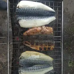 Жасмін — Київ