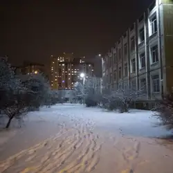 Школа №307 з поглибленим вивченням природничих наук