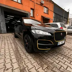 Royal Detailing
