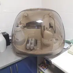 Біософт
