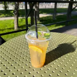 Shalenyi Пес — Харків