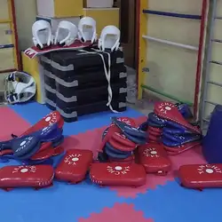 TAEKWONDO WTF -SC FENIX — Тернопіль