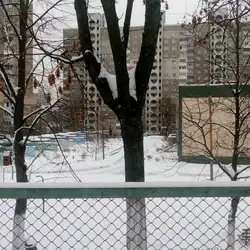 Школа-дитячий садок "Паросток"
