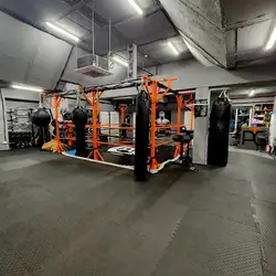 Petrenko Top Gym