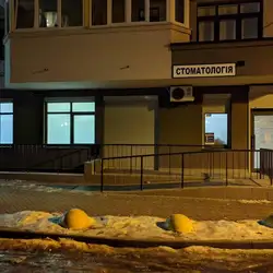 Металіон