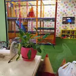 Pesto Cafe — Київ