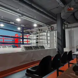 Nikulin boxing team