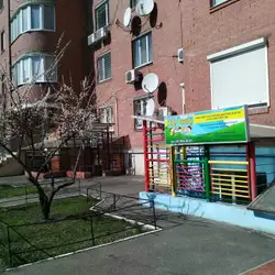 Kids Family