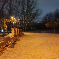 Школа №65