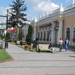 Золота Підкова — Житомир