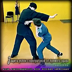 Бойова Гармонія