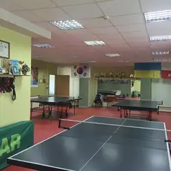 Тенісок