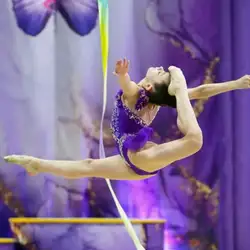 Спортивна школа з художньої гімнастики Терпсіхора