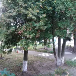 Заклад дошкільної освіти №647