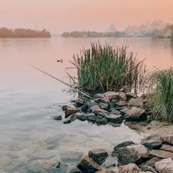 Фотограф Аліна Чумакова