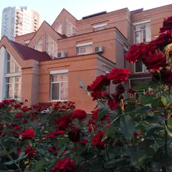 Заклад дошкільної освіти №550