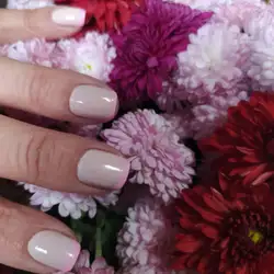 Альона Алімкіна — Київ