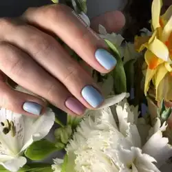 Катерина — Київ