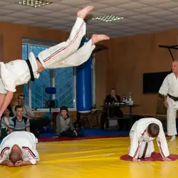 Школа єдиноборств Shorinjiryu Ken Sei Kai - Остафія Дашковича