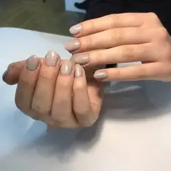 Діана — Київ