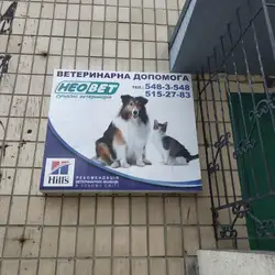 Неовет — Київ