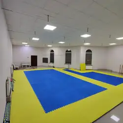 Акула