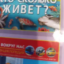 Студія краси Verona — Кривий Ріг