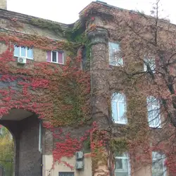 Арт Кофейня Gardman — Київ
