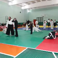 Федерація айкідо Ті-Гатана-Рю - Житомир, Михайла Грушевського