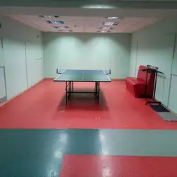 Академік