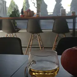 Феникс