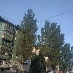 Центр медичної діагностики — Запоріжжя