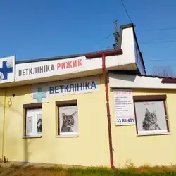 Рижик