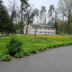 Салют — Київ