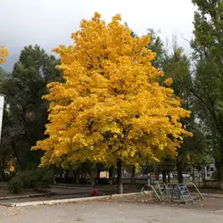 Школа — Дніпро