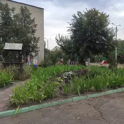 Дошкільний навчальний заклад (ясла-садок) №353