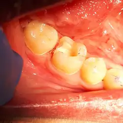 Dental clinic dr.Vasko