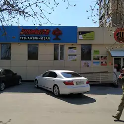 Князь