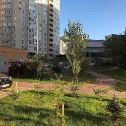 Імперіал — Київ