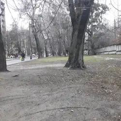 Торти на замовлення