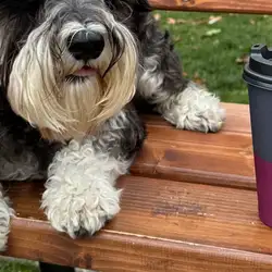 Cup Coffee — Дніпро