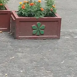 New Stage, центр подології — Киев