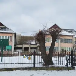 Дитячий садок Квітка Карпат