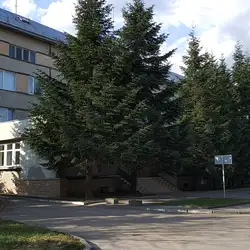 СТАНЦІЯ ШВИДКОЇ ТА НЕВІДКЛАДНОЇ МЕДИЧНОЇ ДОПОМОГИ, ІВАНО-ФРАНКІВСЬКА ЦЕНТРАЛЬНА КЛІНІЧНА ЛІКАРНЯ